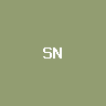 Tradr 2X Long SNDK ETF (bStock
